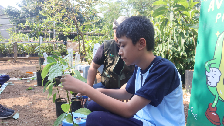 Programs